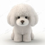 可爱的贵宾犬