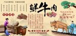 鲜牛肉背景墙