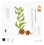 八角 插画