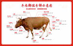 牛肉分割图