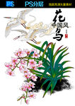 花鸟工笔画