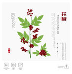 花椒 插画