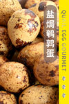 鹌鹑蛋海报 美食菜单