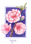 樱花