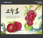三华李手绘