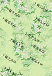 小花  乱花