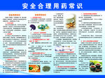 安全合理用药