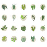 手绘家居绿植ICON