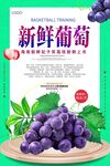 新鲜葡萄