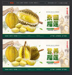 榴莲