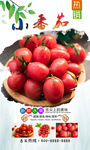 小番茄  