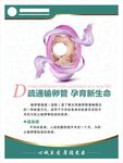 疏通输卵管孕育新生命