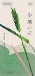 小满