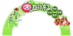 荔枝来了