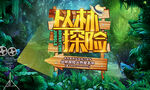 丛林探险  