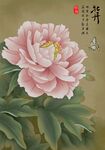 牡丹 工笔画