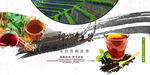 祁门红茶 
