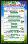 食品安全知识海报