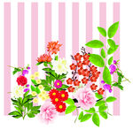 大牌花