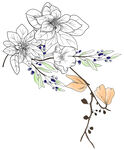 线条花