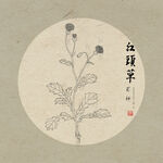 手绘线描一点红 