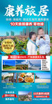徐闻鼎龙湾康养旅居旅游海报设计