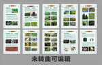 植物园植物科普画册