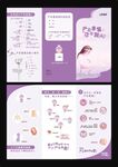 产后康复三折页  手绘产后图