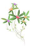 矢量手绘花束