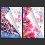 樱花节