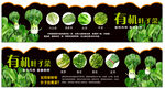 蔬菜