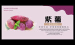 紫薯