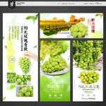阳光玫瑰