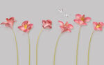 手绘花