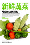 蔬菜