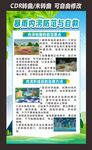 暴雨预防