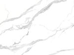 新传 高端爵士白纹 TIF合层