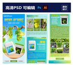 葡萄水肥