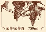 手绘葡萄版画