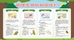 除四害宣传栏展板