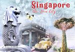 新加坡装饰画