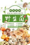 野生菌海报