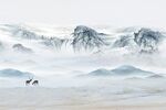 山水情