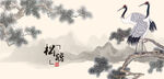 仙鹤松鹤白鹤