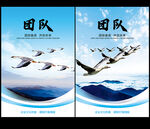 团队