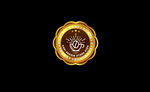 圆形钻石企业咖啡标志