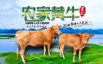 黄牛海报