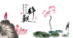 静观