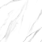 新传 最新鱼肚白纹 TIF合层