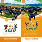 黑山羊